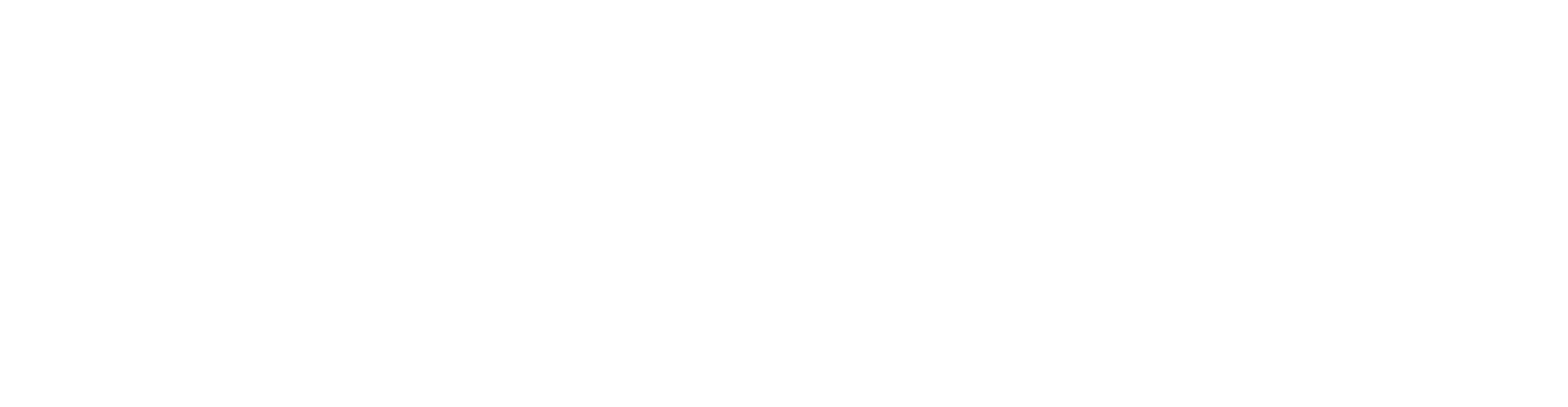 Vega Security logo